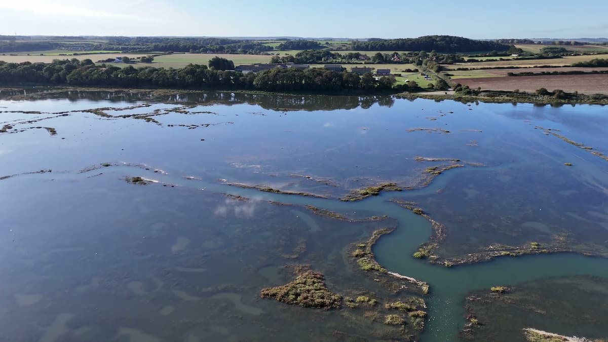 The marsh creeks at high water